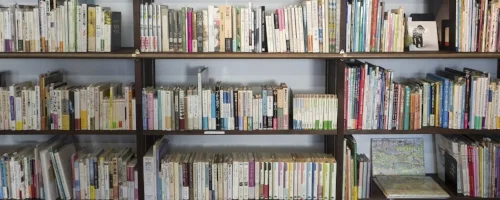 Bridging the Digital Divide: Being a political activist bookseller