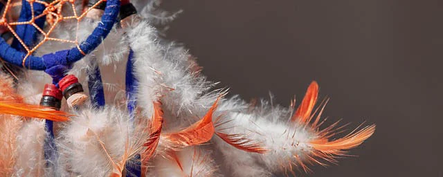 Bestselling Indigenous books in Canada
