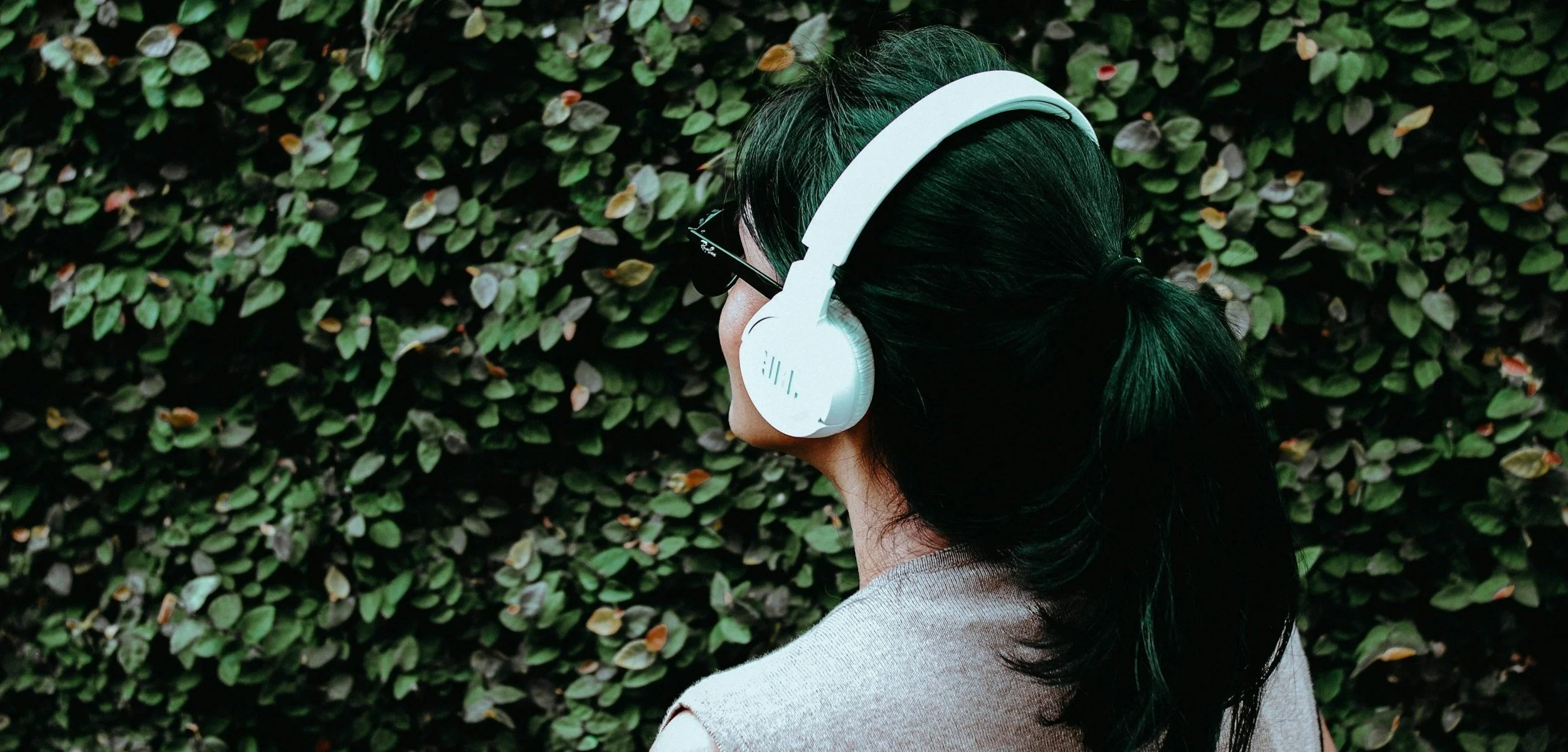 Brazilian audiobooks data: Steps toward understanding the size of a different market