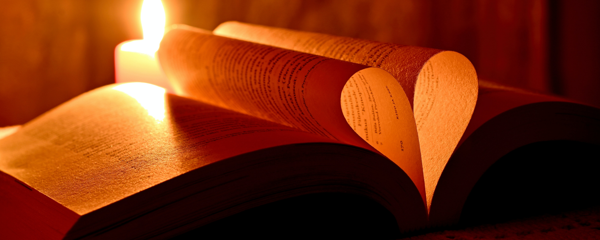 Subject spotlight: Romance and Erotica