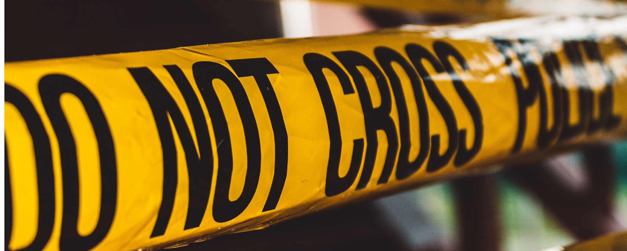 Subject spotlight: True Crime