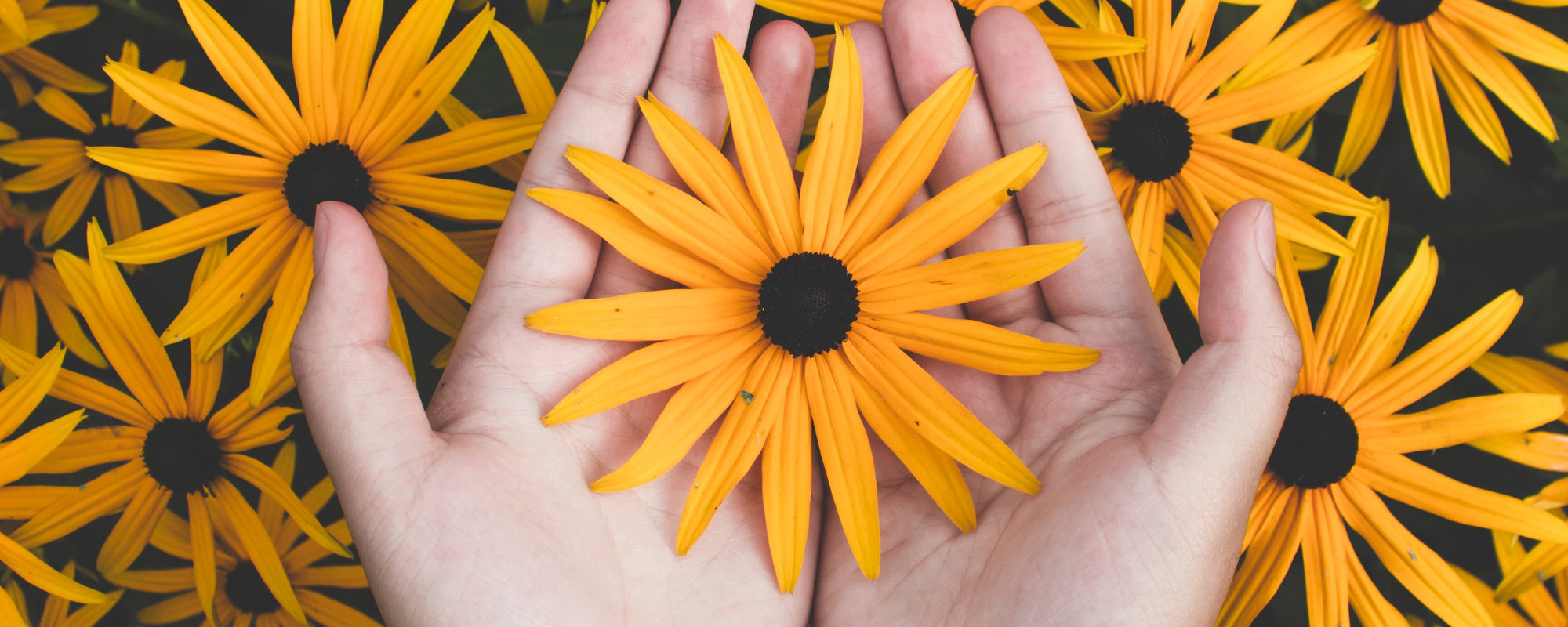 Subject spotlight: Self-Help