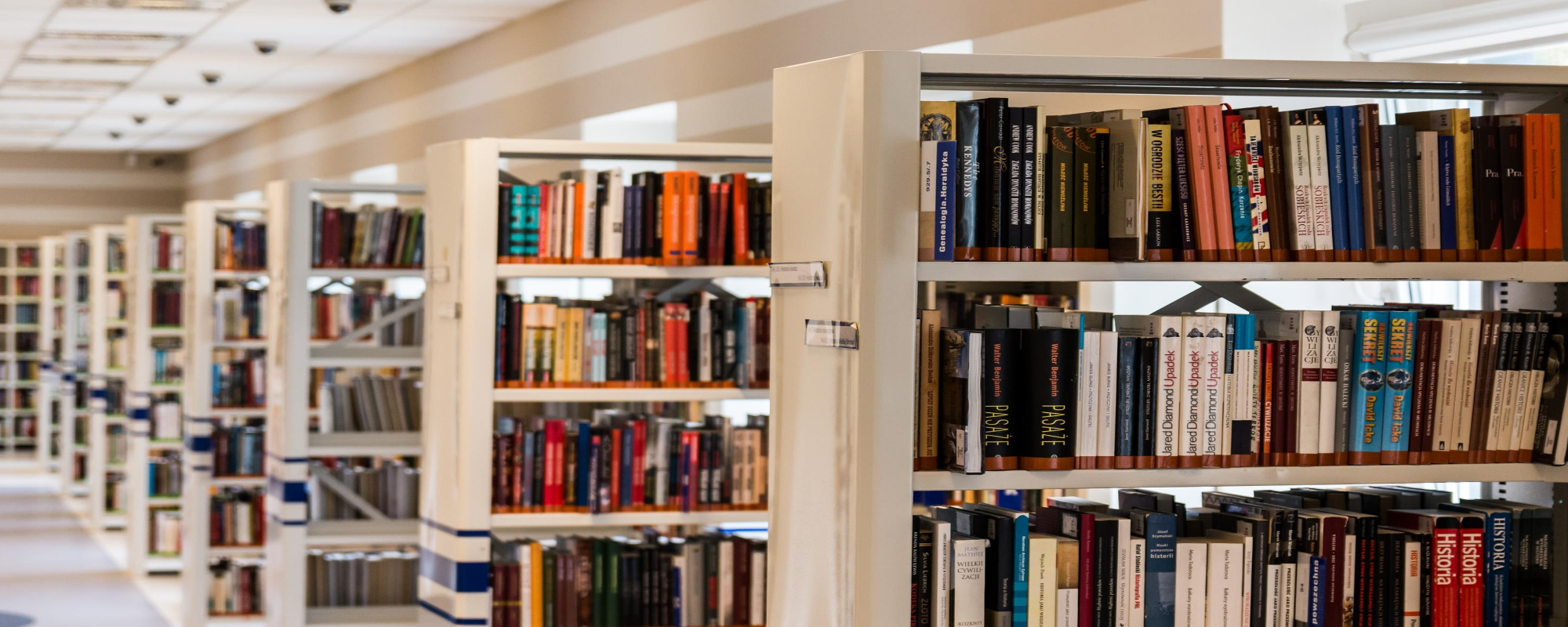 The impact of COVID on book borrowing
