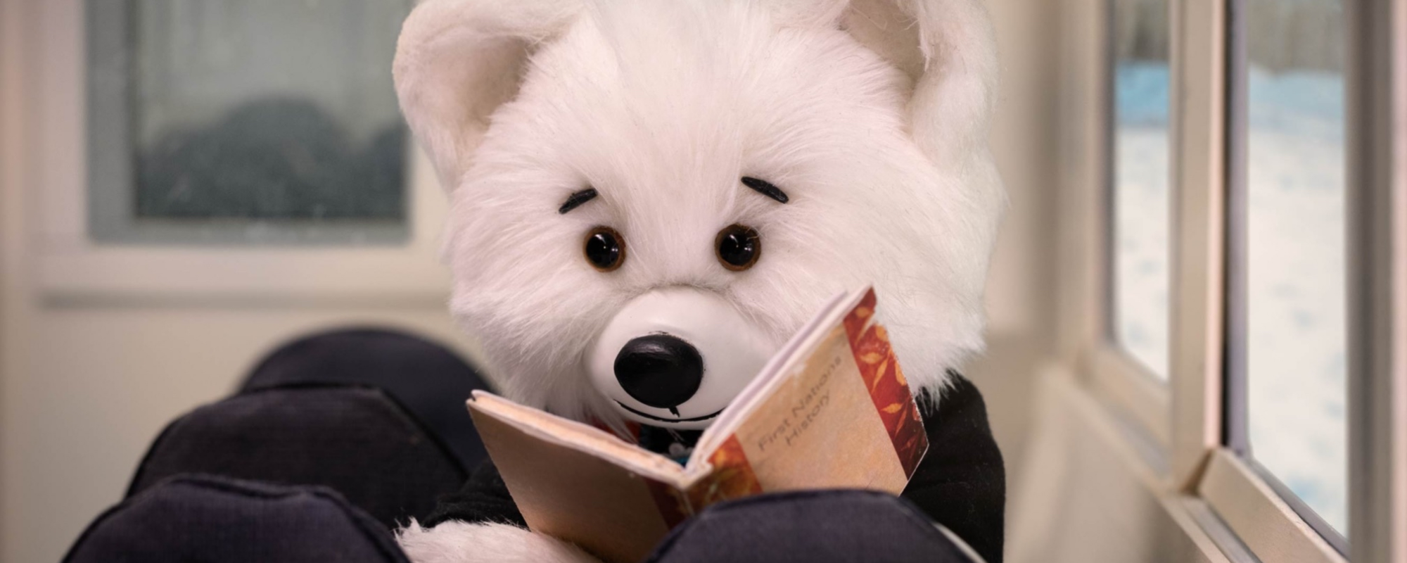 5 questions with the First Nations Child & Family Caring Society and Spirit Bear Books