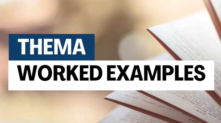 Using Thema to identify diverse content in product metadata: worked example #14