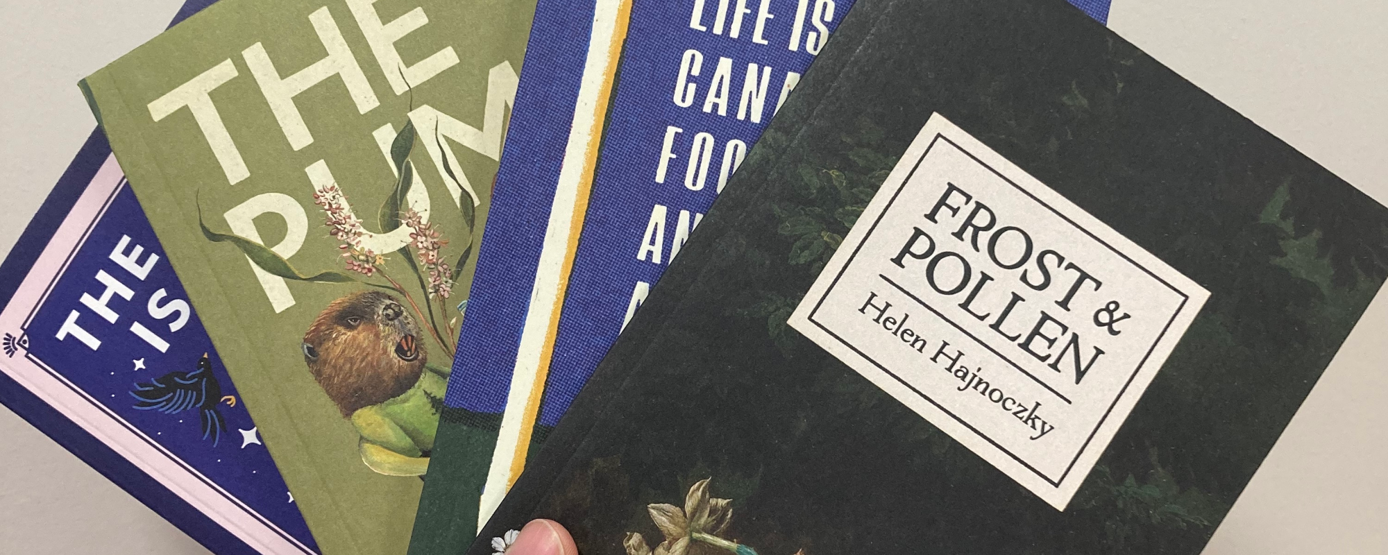 5 questions with Invisible Publishing