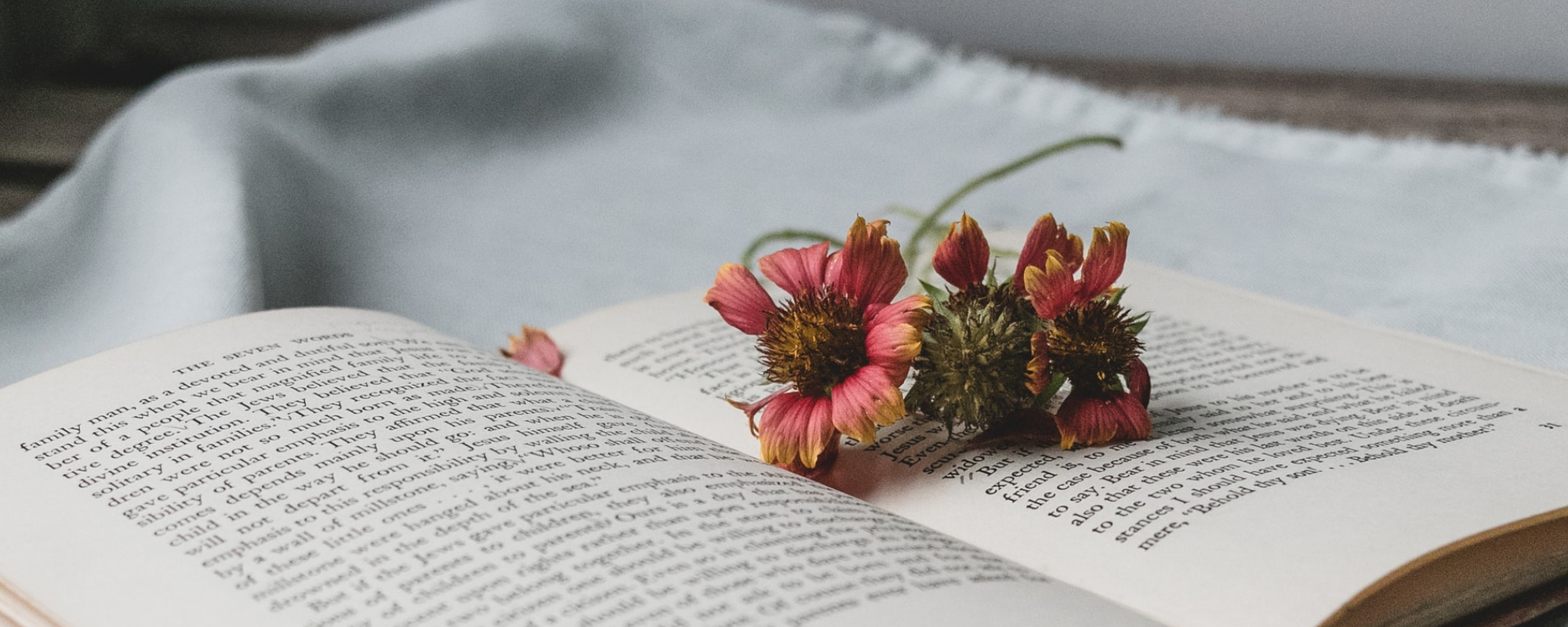 Subject spotlight: Biography & Autobiography
