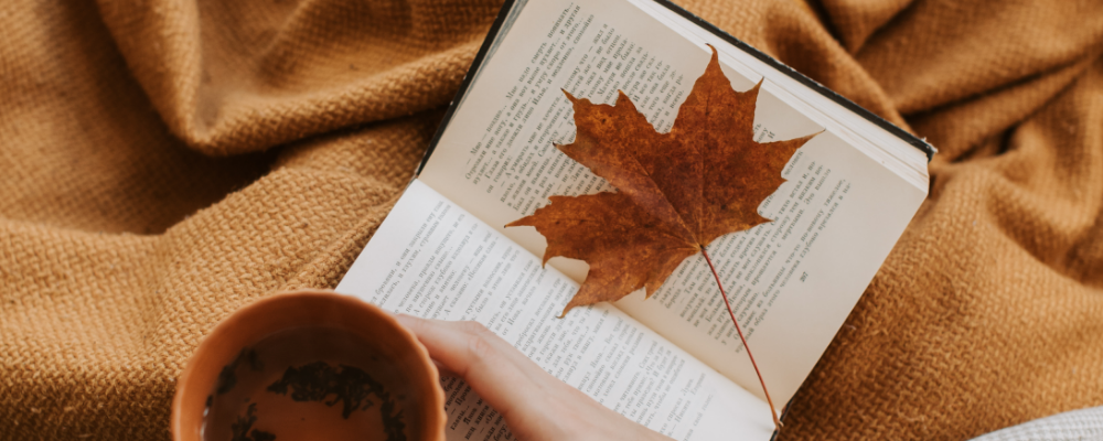 Easier with BookNet: Finding Canadian-authored content using CataList