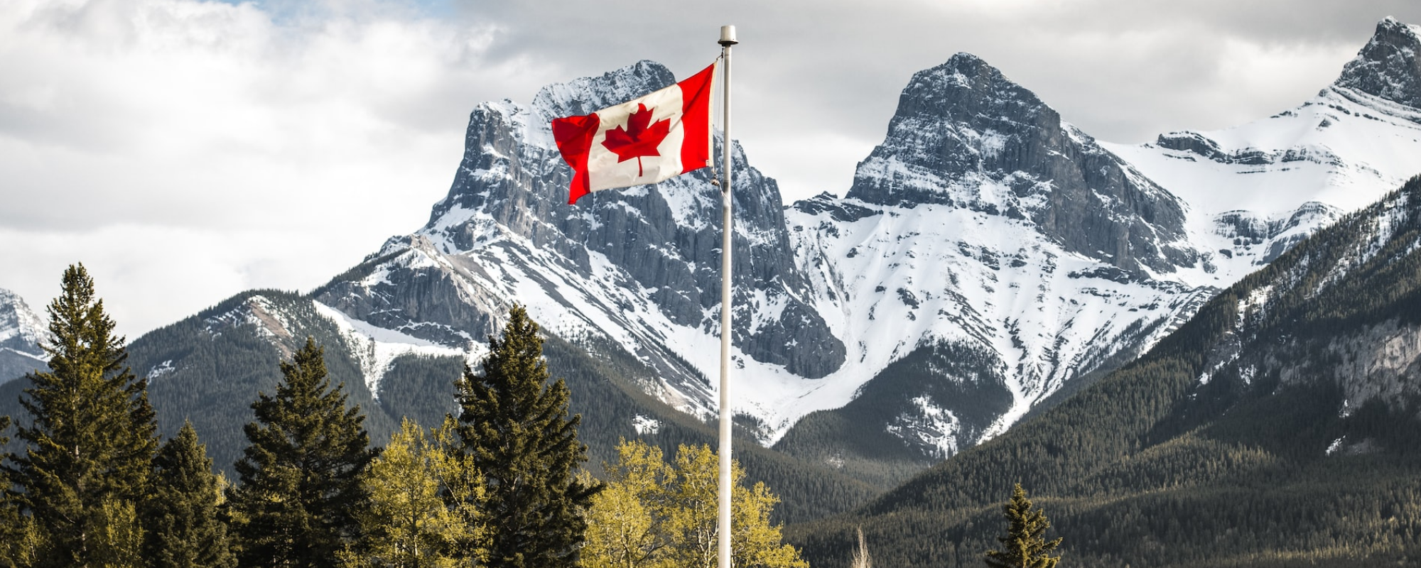 Celebrating Canadian contributors on I Read Canadian Day 2022