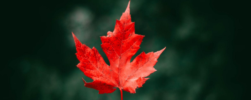 Easier with BookNet: Getting the Canadian contributor data you need