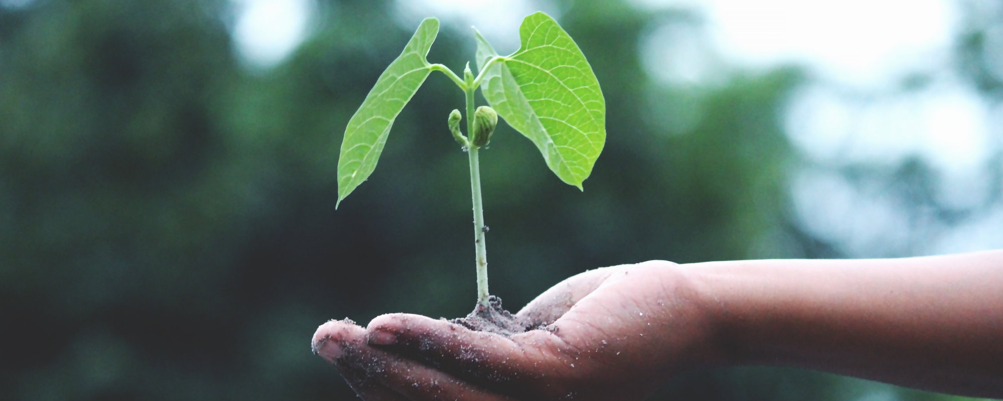 Four takeaways from An introduction to your carbon footprint: Making sense of scope 1, 2, and 3 GHG emissions