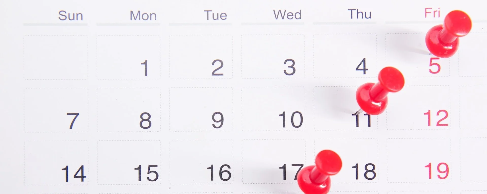 Easier with BookNet: Keeping up with new releases