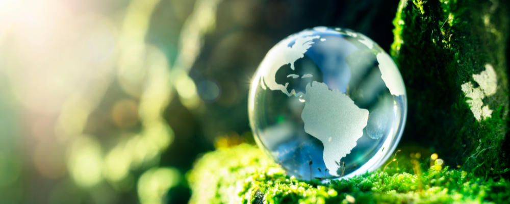 On the environment: Why do a greenhouse gas audit?