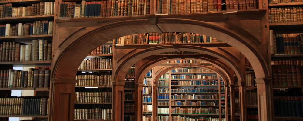 Canadian book borrowers in 2023