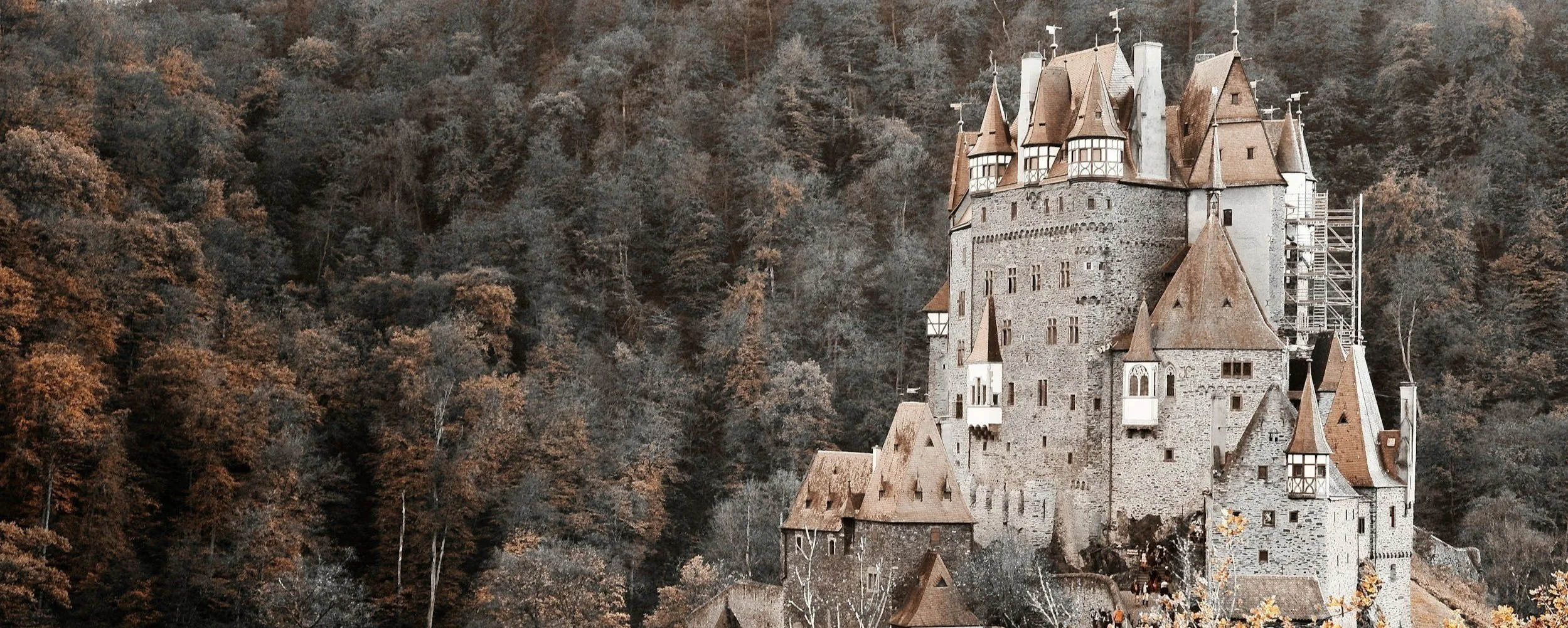 Subject spotlight: Young Adult Fantasy