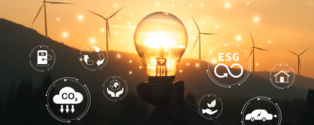Sustainability at BookNet