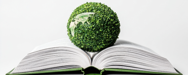 EU Deforestation Regulation update: Delay approved and major update for the publishing industry