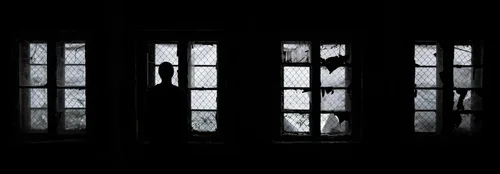 Subject spotlight: Horror