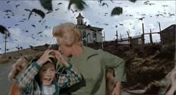 Gif of flying birds, scene from the movie The Birds.