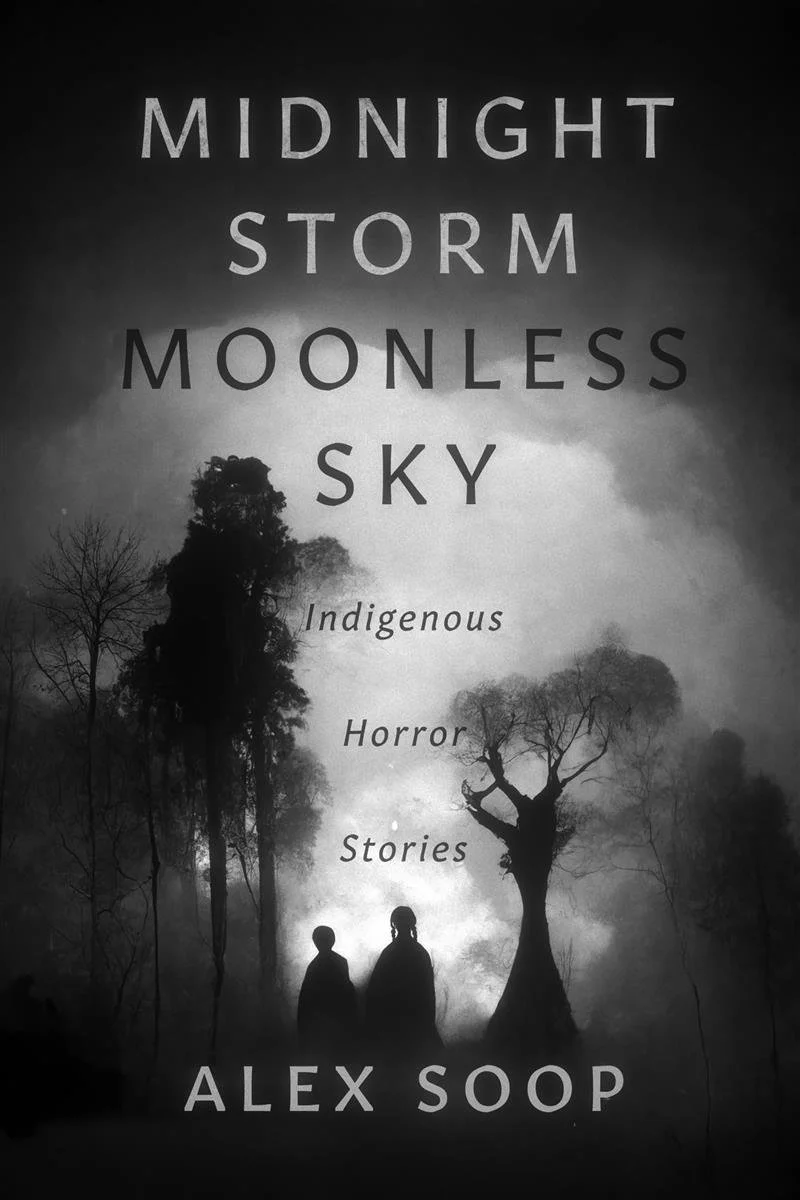 Cover of Midnight Storm Moonless Sky