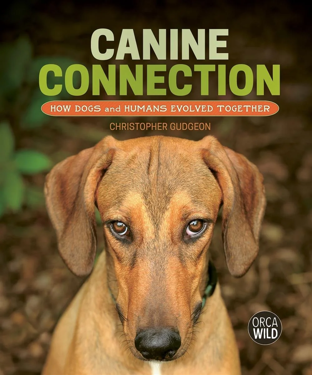 Book cover of Canine Connection.