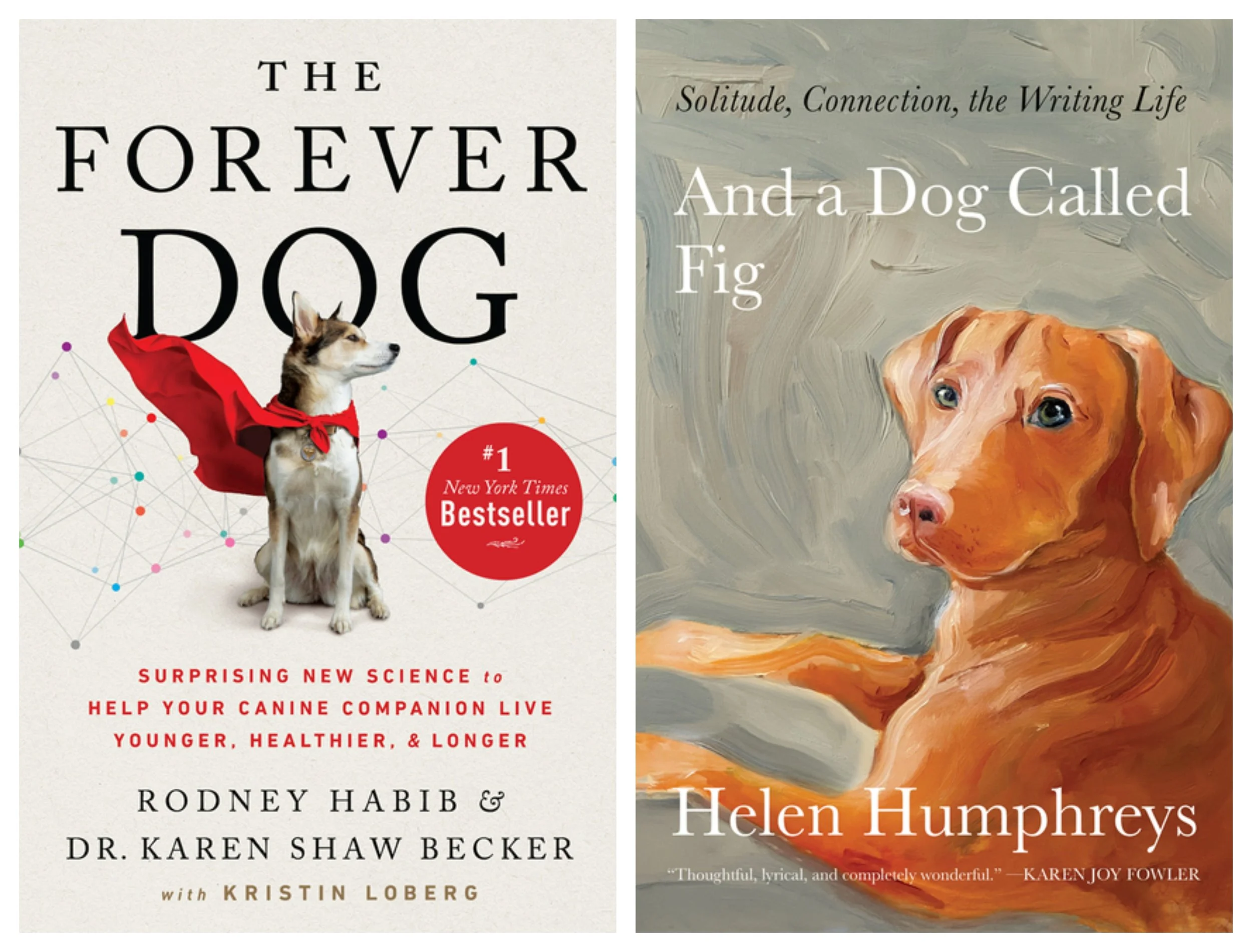 Covers of And a Dog Called Fig and The Forever Dog