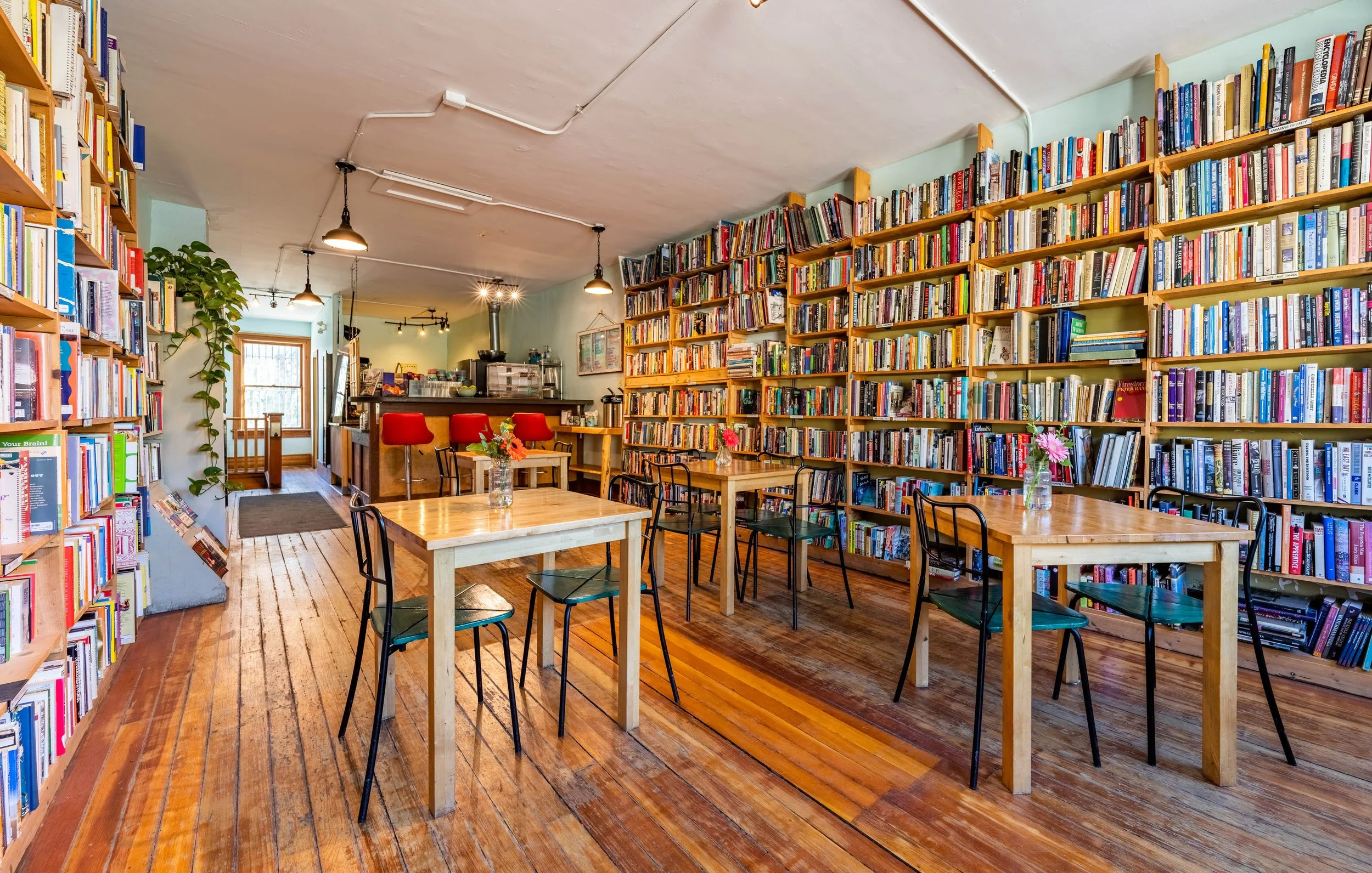 Bacchus Books & Cafe interior
