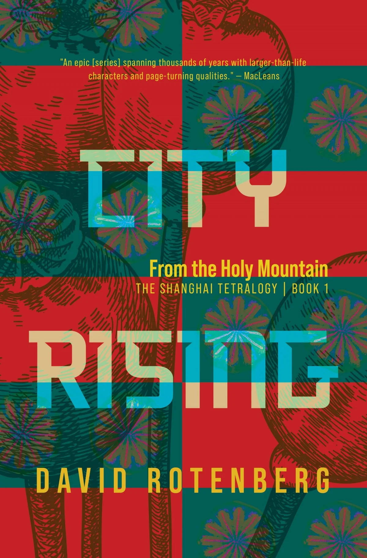 Cover of City Rising by David Rotenberg