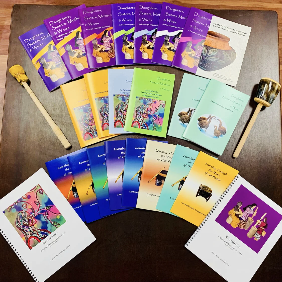 Photo of a selection of Turtle's Back Pubishing's books and workbooks.