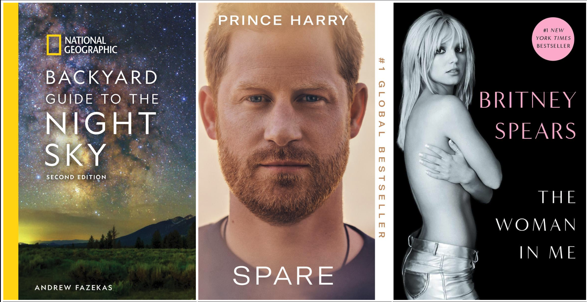 Collage of the top 10 most circulated Non-Fiction books of 2024.