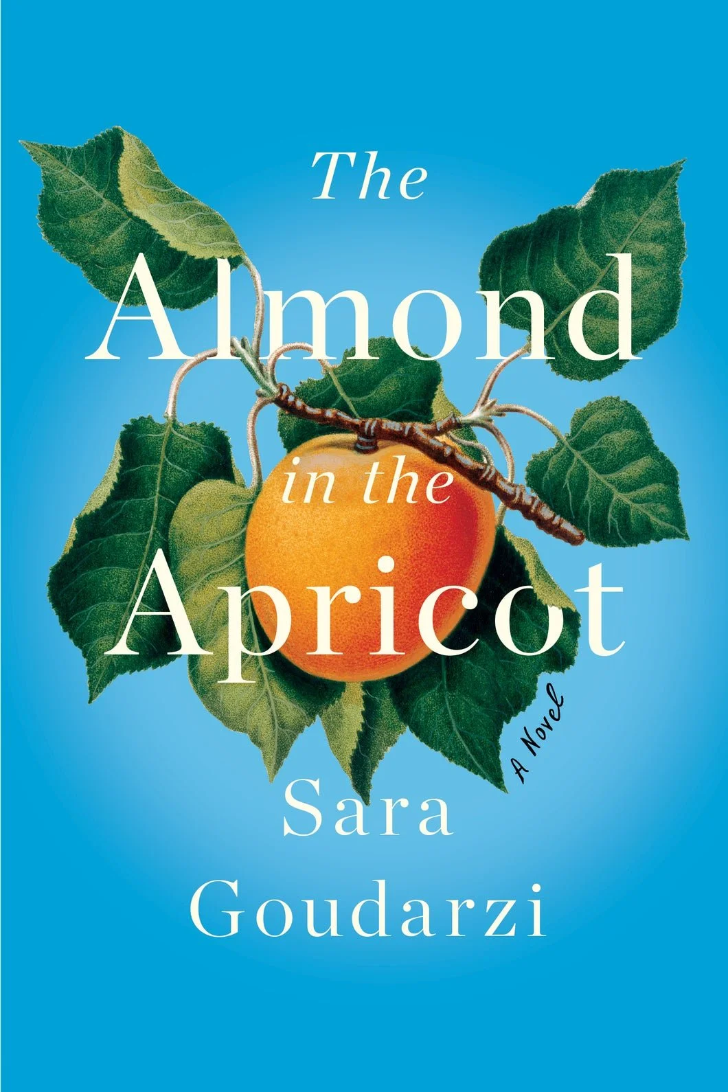 Cover of The Almond in the Apricot by Sara Goudarzi