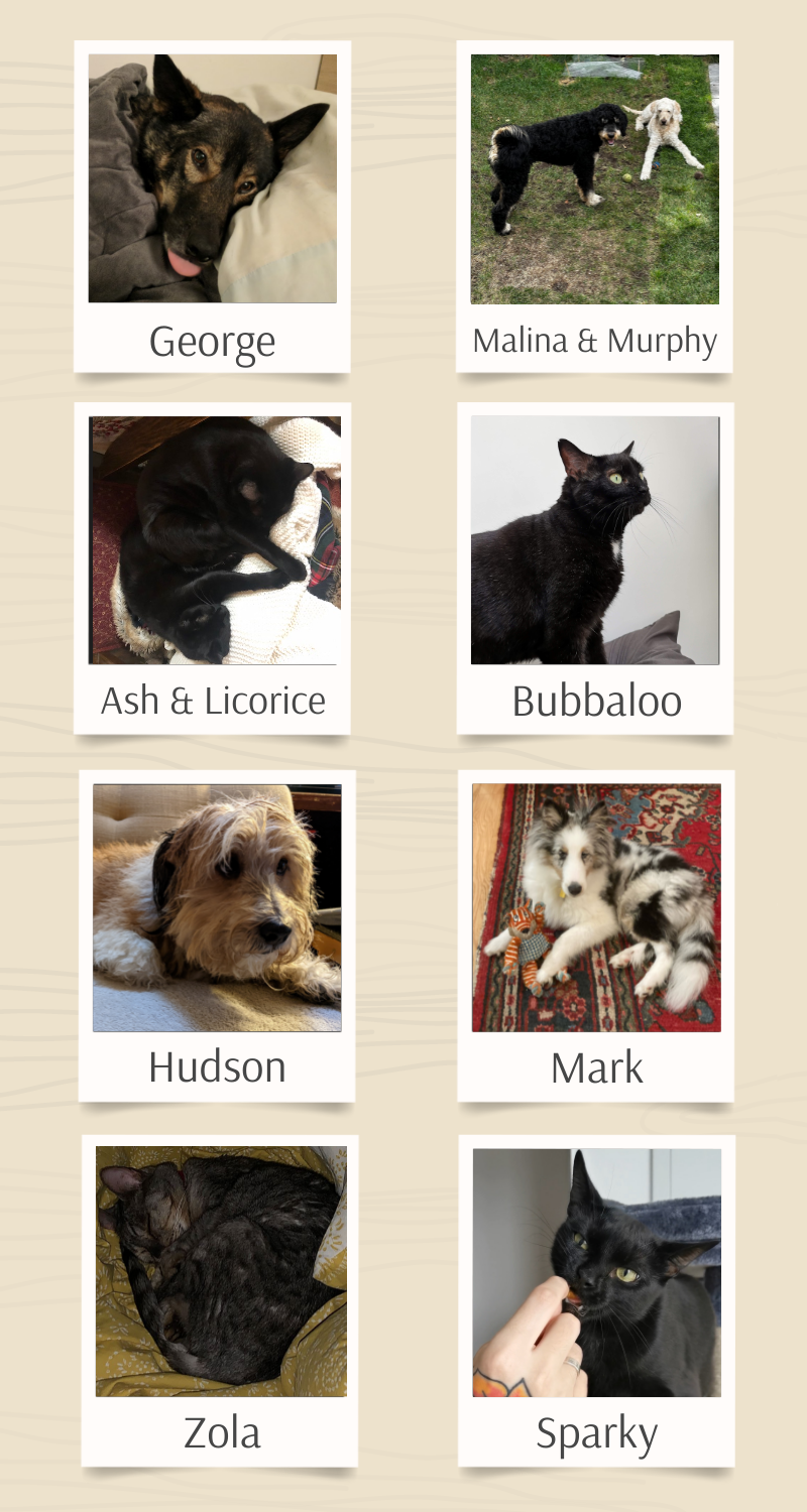 The BookNet staff menagerie: George (dog); Malina & Murphy (dogs); Ash & Licorice (cats); Bubbaloo (cat); Hudson (dog); Mark (dog); Zola (cat); Sparky (cat).