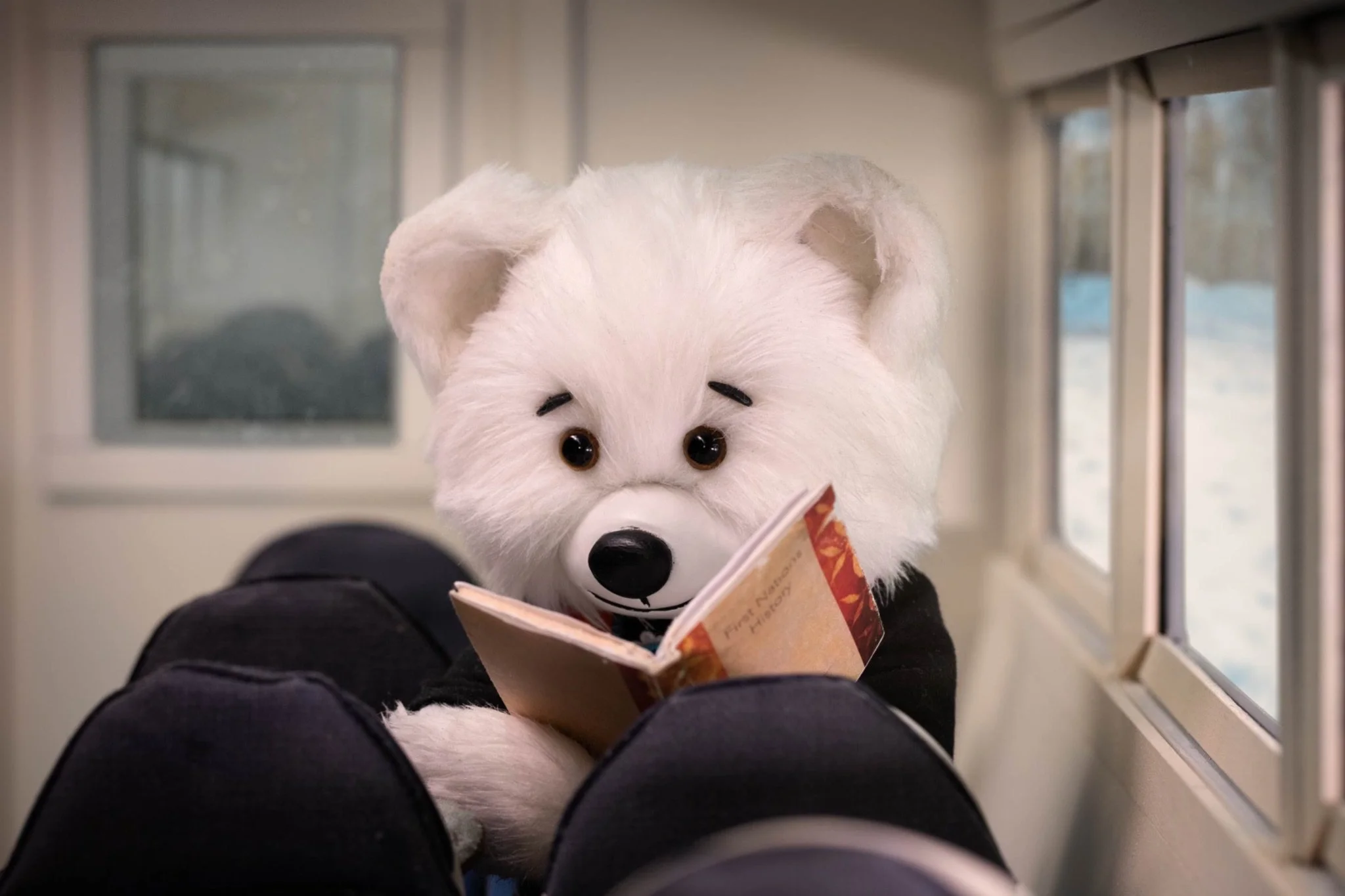 A white stuffed bear sits on a seat on a bus next to the window reading a book.