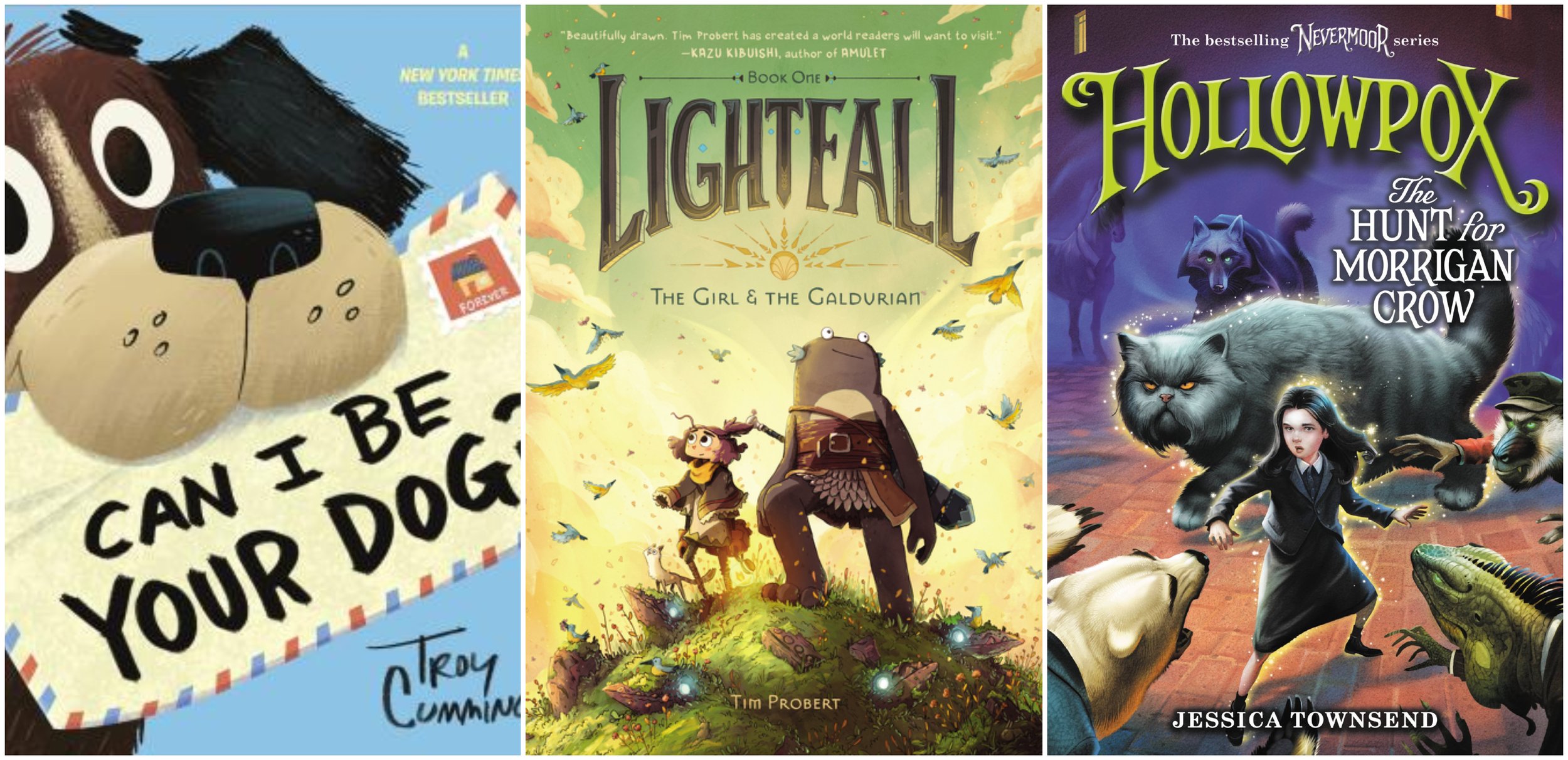 A collage of the book covers for the Juvenile and Young Adult books mentioned below.