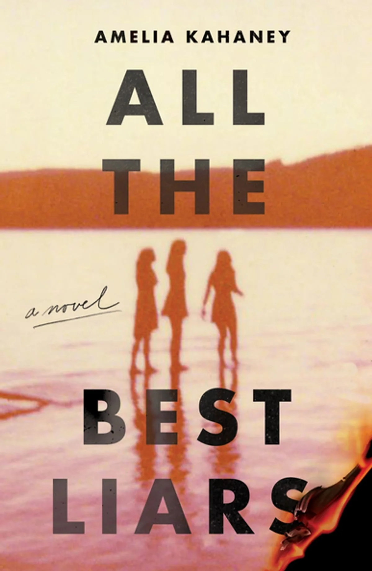 Cover of All the Best Liars by Amelia Kahaney
